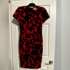 Calvin Klein Dress